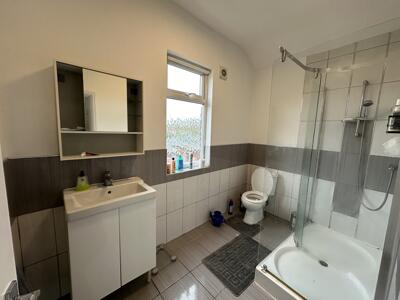 Picture 8
